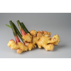 Gingembre frais, 100g