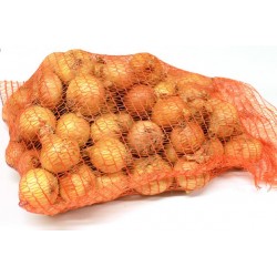 Oignons 10kg
